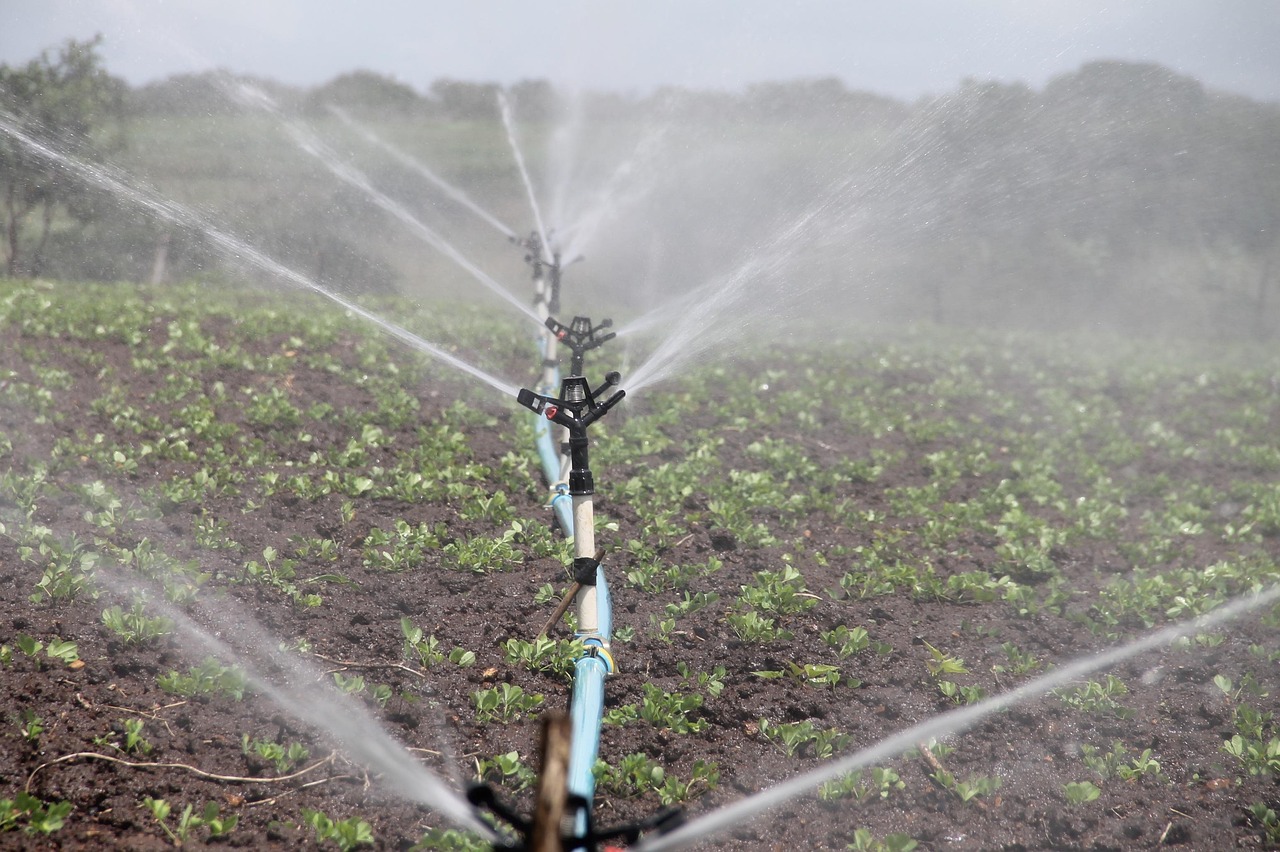 Beheer je tuinbewatering met een smartphone app.