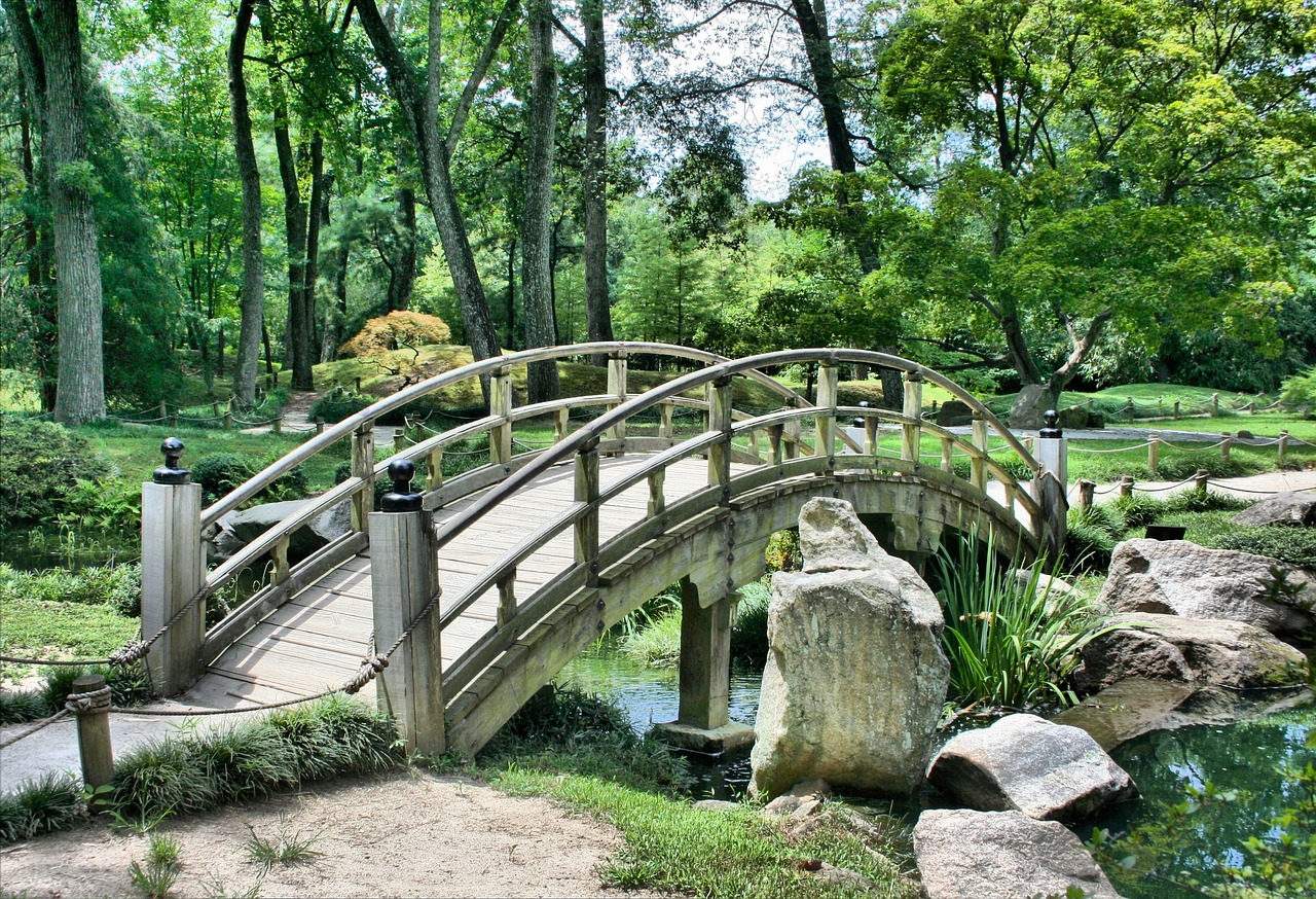 Tuinvijver met kleurrijke waterplanten en fonteintje